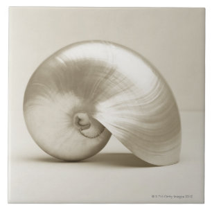 Pearlised NautilusseeMuschel Fliese