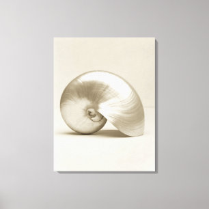 Pearlised NautilusseeMuschel Leinwanddruck