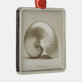 Pearlised NautilusseeMuschel Silbernes Ornament (Rechts)