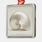 Pearlised NautilusseeMuschel Silbernes Ornament (Links)