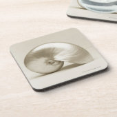 Pearlised NautilusseeMuschel Untersetzer (Linke Seite)