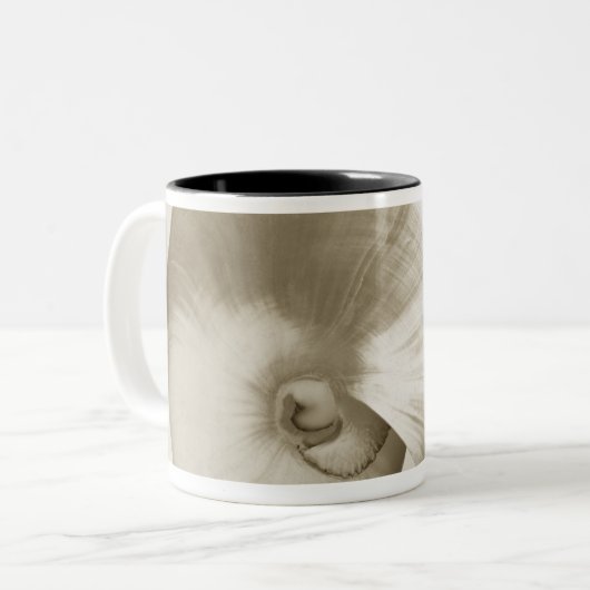 Pearlised NautilusseeMuschel Zweifarbige Tasse (Vorderseite Links)