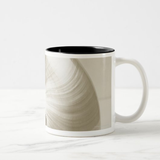 Pearlised NautilusseeMuschel Zweifarbige Tasse (Rechts)