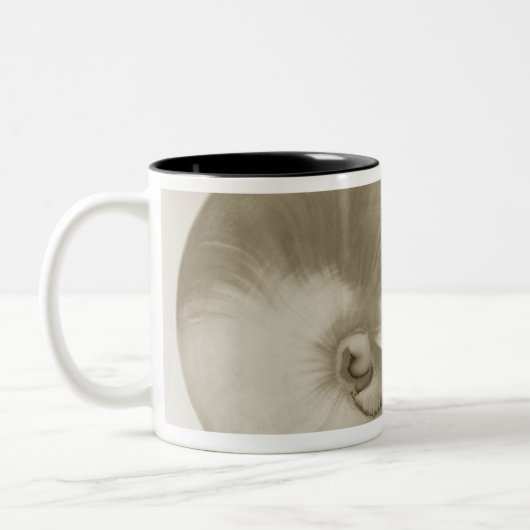 Pearlised NautilusseeMuschel Zweifarbige Tasse (Links)