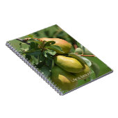 Pears Fruit (my photography) Notizblock (Rechte Seite)