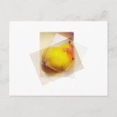 PEARS POSTKARTE (Vorderseite)