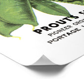 Peas-Vintage Saatpackung Poster (Ecke)