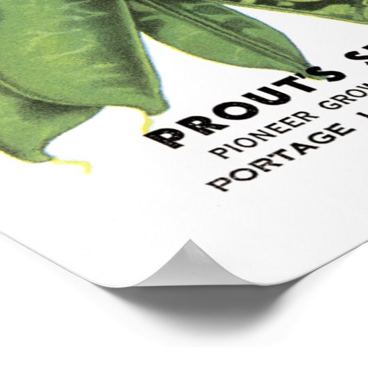 Peas-Vintage Saatpackung Poster (Ecke)