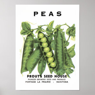 Peas-Vintage Saatpackung Poster