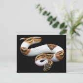 Pebaldballpython Postkarte (Stehend Vorderseite)