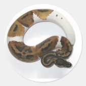 Pebaldballpython Runder Aufkleber (Vorderseite)