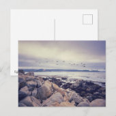 Pebble Beach Coast Morning Postkarte (Vorne/Hinten)