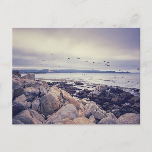 Pebble Beach Coast Morning Postkarte (Vorderseite)