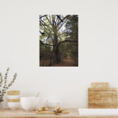 Pecan Gateway Poster (Küche)