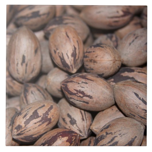 Pecan Keramik Tile Fliese (Vorderseite)