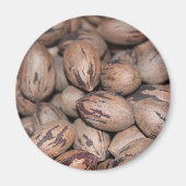 Pecan Magnet (Vorne)
