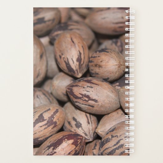 Pecan Planner Planer (Rückseite)