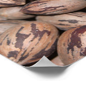 Pecan Poster (Ecke)