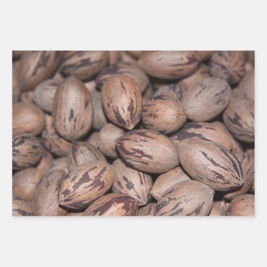 Pecan Wrapping Paper Geschenkpapier Set (Vorderseite 3)