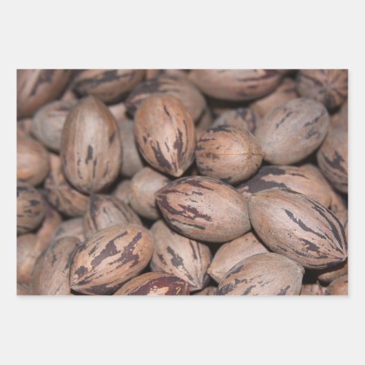 Pecan Wrapping Paper Geschenkpapier Set (Vorderseite)