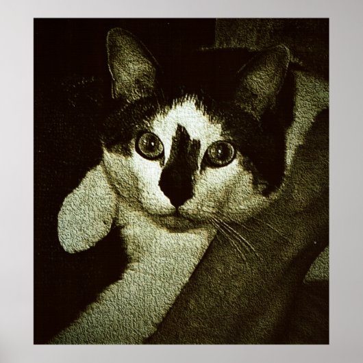 Pech gehabt. poster (Vorne)