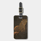 Peckoltia Compta Gepäckanhänger (Vorderseite vertikal)