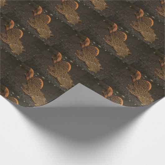 Peckoltia Compta Geschenkpapier (Ecke)