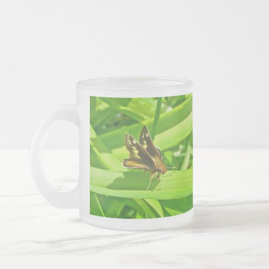 Peck's Skipper Butterfly Mattglastasse (Links)