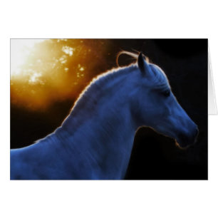 PECO im Abends-Licht