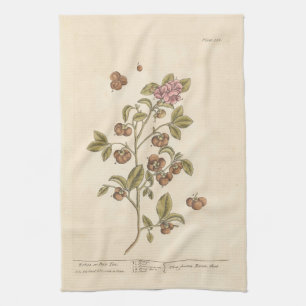 Peco-Tee von Elizabeth Blackwell Küchentuch