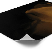 Pedale einer Rose Poster (Ecke)