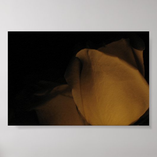 Pedale einer Rose Poster (Vorne)