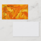 Pedale Visitenkarte (Vorne/Hinten)