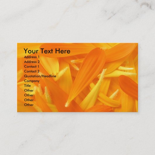 Pedale Visitenkarte (Vorderseite)