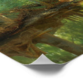 Peder Mørk Mønsted Forest stream 1896 Poster (Ecke)