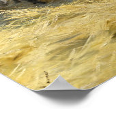 Peder Severin Kroyer - Bedrohung in den Abruzzen Poster (Ecke)