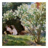 Peder Severin Kroyer - Rose Poster (Vorderseite)