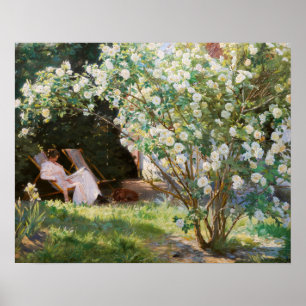 Peder Severin Kroyer - Rose Poster