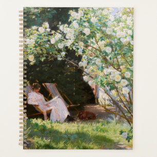 Peder Severin Kroyer - Rosen Planer