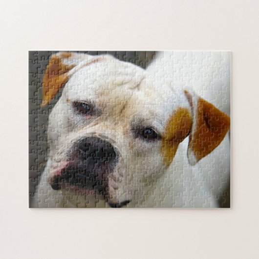 Pedigree Bulldog. Puzzle (Horizontal)