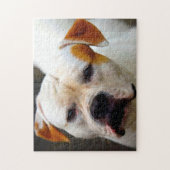 Pedigree Bulldog. Puzzle (Vertikal)