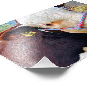 Pedigree Hereford Cow Cattle Fotodruck (Ecke)