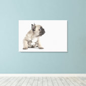 Pedigree Leinwanddruck (Insitu (Holzboden))