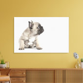 Pedigree Leinwanddruck (Insitu (Wohnzimmer))