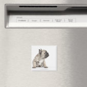 Pedigree Magnet (In Situ (Geschirrspüler))