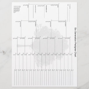 Pedigree Paper der sechsten Generation