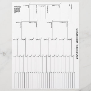 Pedigree Paper der sechsten Generation