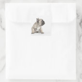 Pedigree Quadratischer Aufkleber (Tasche)