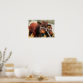 Pedigree Red Ruby Devon Cow Poster (Küche)