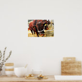 Pedigree Red Ruby Devon Cow Poster (Küche)